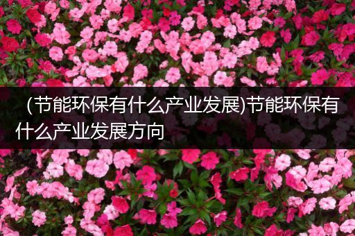 （节能环保有什么产业发展)节能环保有什么产业发展方向