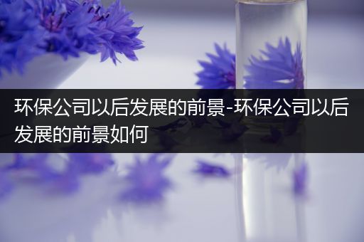 环保公司以后发展的前景-环保公司以后发展的前景如何