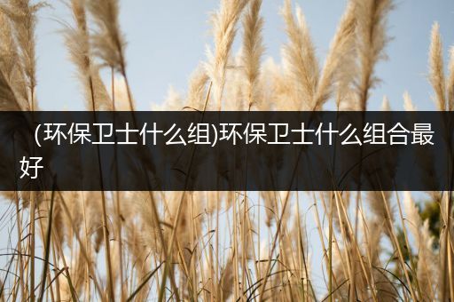 （环保卫士什么组)环保卫士什么组合最好