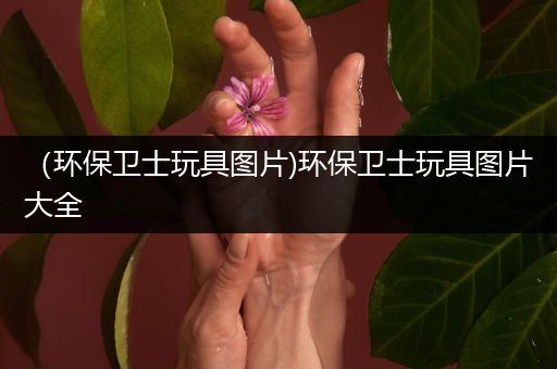 （环保卫士玩具图片)环保卫士玩具图片大全