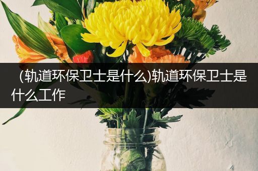 （轨道环保卫士是什么)轨道环保卫士是什么工作