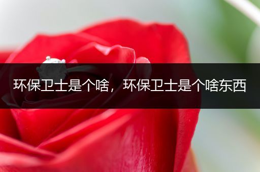 环保卫士是个啥，环保卫士是个啥东西